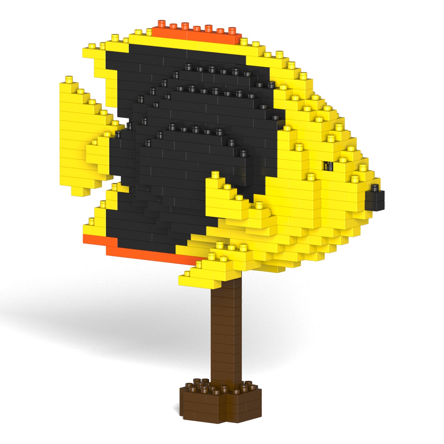 ロック・ビューティー 01S / 01C