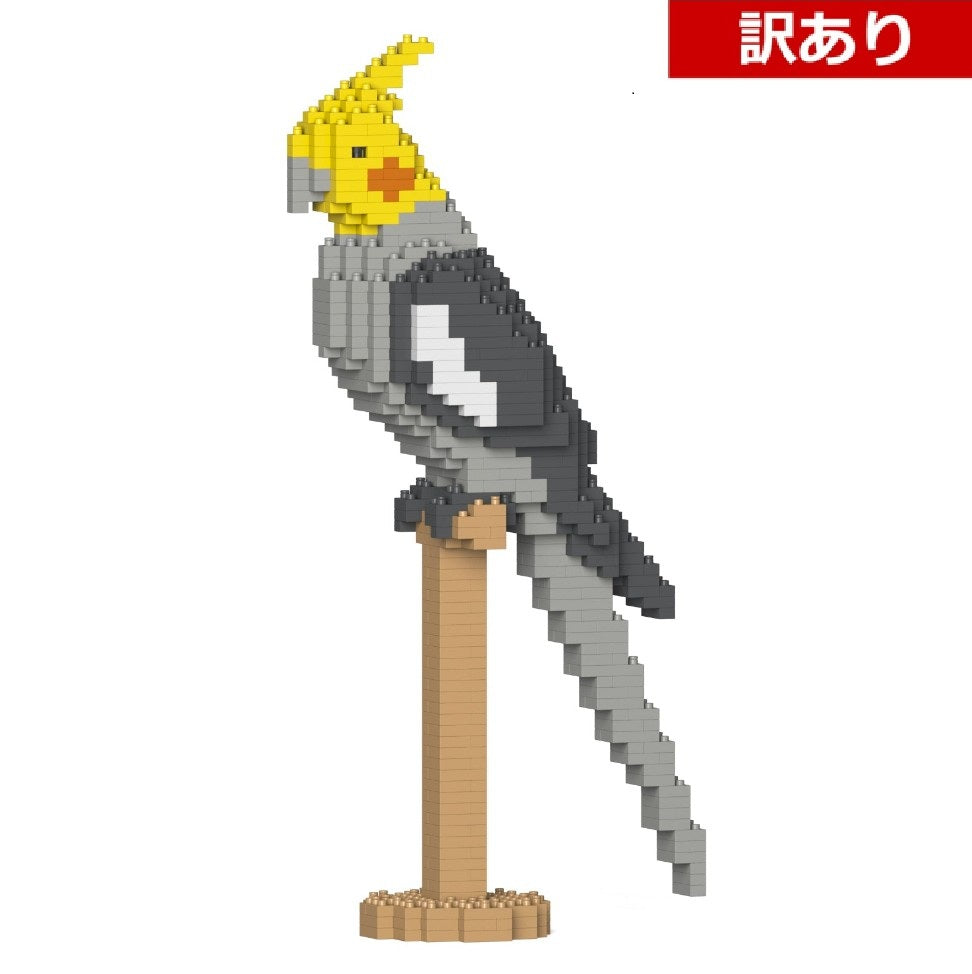 【訳あり(パッケージ不良)】オカメインコ 02S (Black Friday 2025)