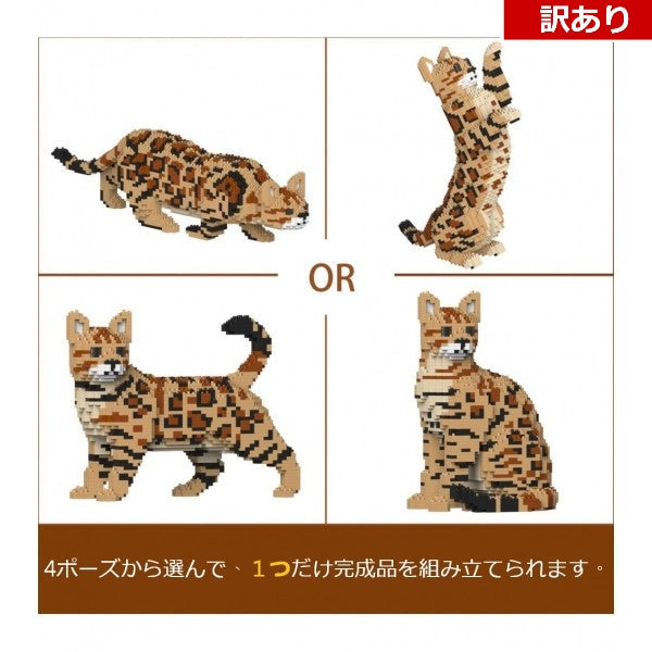 【訳あり(パッケージ不良)】ベンガル 4-in-1 パック 01S-M01 (Black Friday 2025)