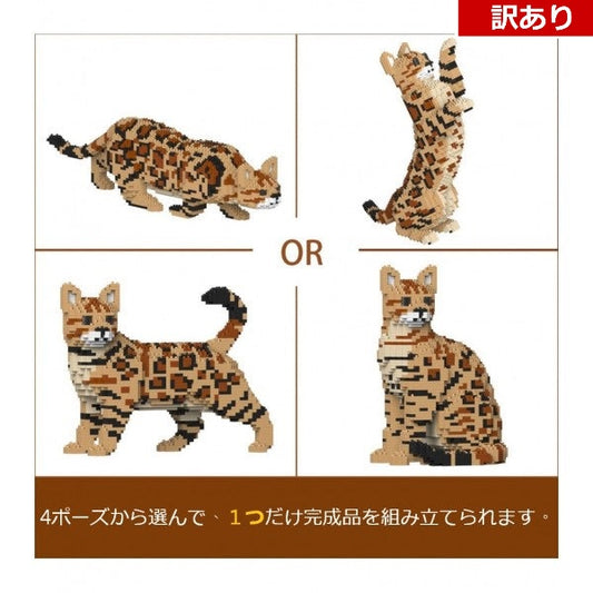 【訳あり(パッケージ不良)】ベンガル 4-in-1 パック 01S-M01 (Black Friday 2025)