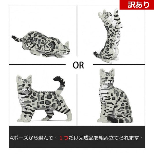 【訳あり(パッケージ不良)】ベンガル 4-in-1 パック 01S-M02 (Black Friday 2025)