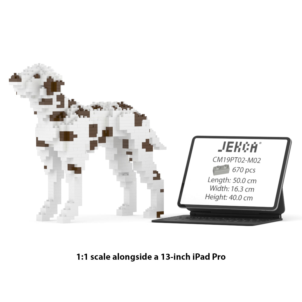 ダルメシアン 01S-M02 / 01C-M02