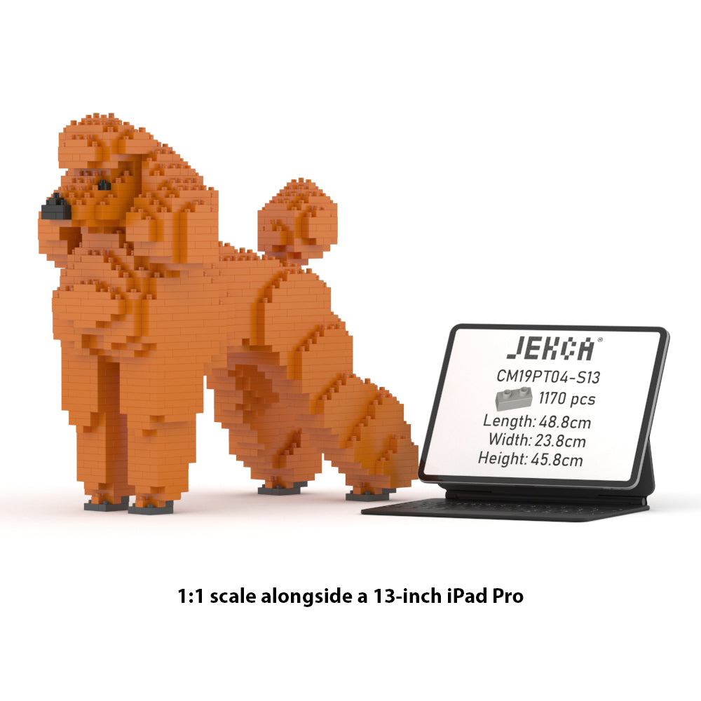 スタンダードプードル 01S-S13 / 01C-S13