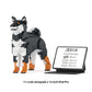 柴犬 01S-M02 / 01C-M02
