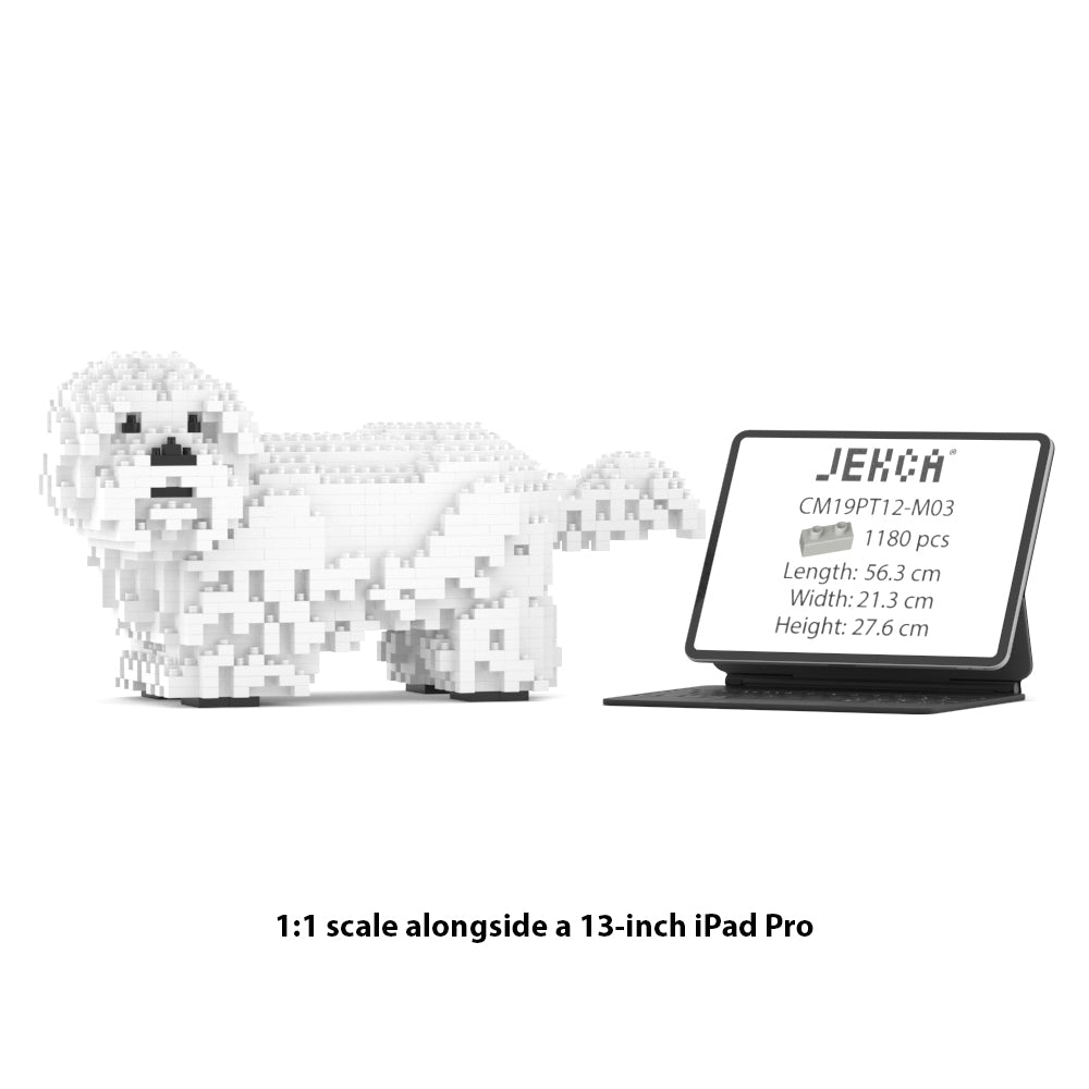 シーズー 01S-M03 / 01C-M03