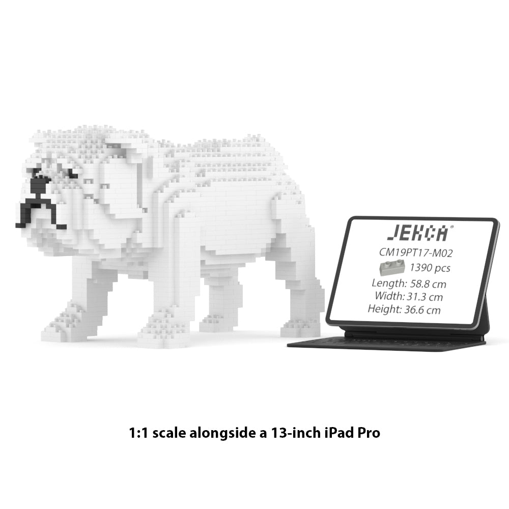 イングリッシュ・ブルドッグ 01S-M02 / 01C-M02