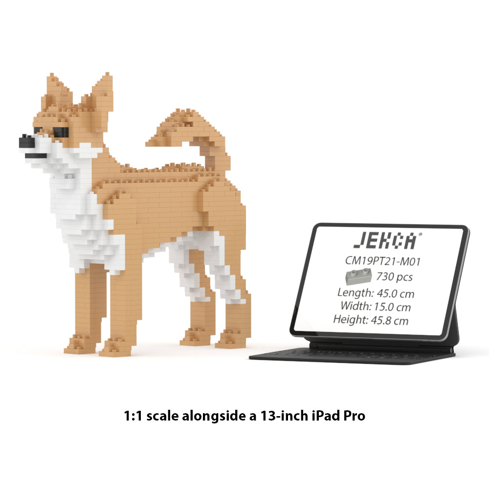 チワワ 01S-M01 / 01C-M01