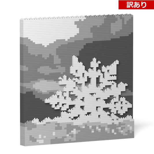 【訳あり(パッケージ不良)】パネル - クリスマス 04S (Black Friday 2025)