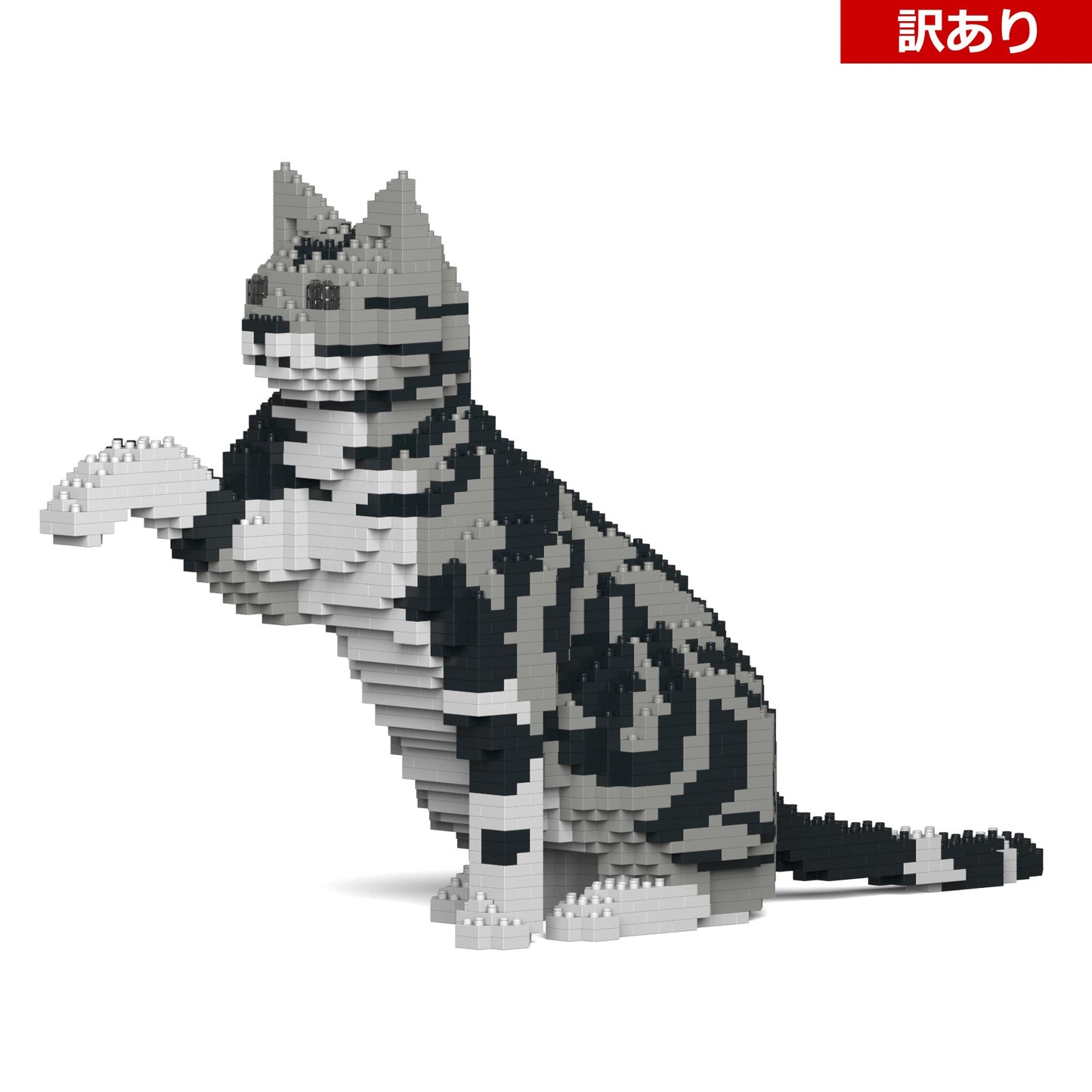 【訳あり(パッケージ不良)】アメリカン・ショートヘア 03S-M01 (Black Friday 2025)