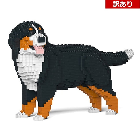 【訳あり(パッケージ不良)】バーニーズ・マウンテン・ドッグ 03S (Black Friday 2025)