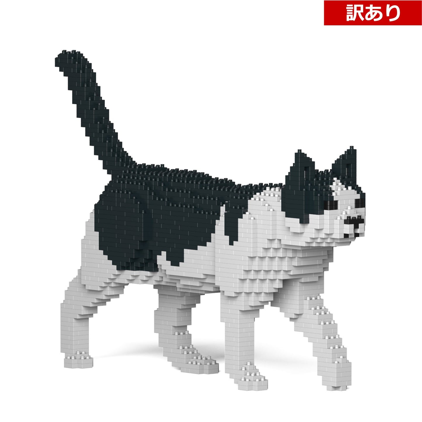 【訳あり(パッケージ不良)】ねこ 11S-M02 (Black Friday 2025)