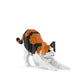ねこ 13S-M01B