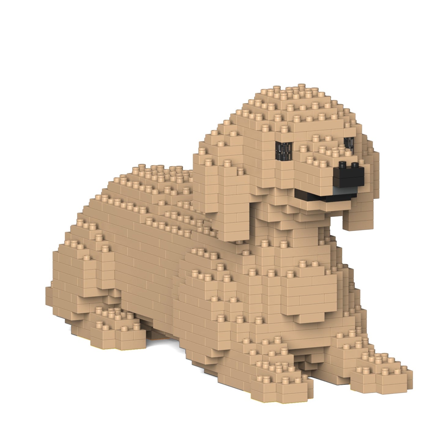 【訳あり(パッケージ不良)】ダックスフンド 04S-M03 (Black Friday 2025)