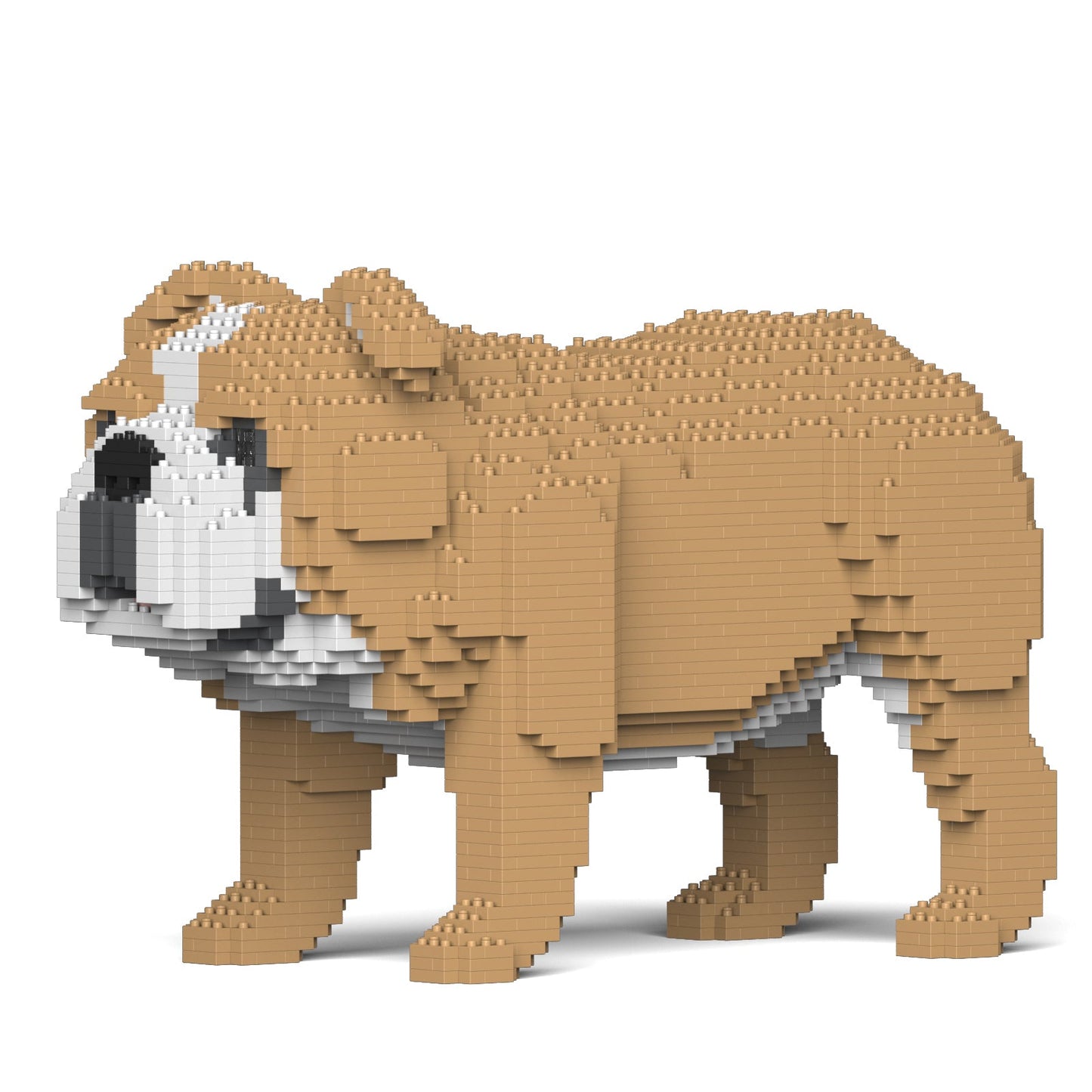 【訳あり(パッケージ不良)】イングリッシュ・ブルドッグ 4-in-1 パック 01S-M03 (Black Friday 2025)