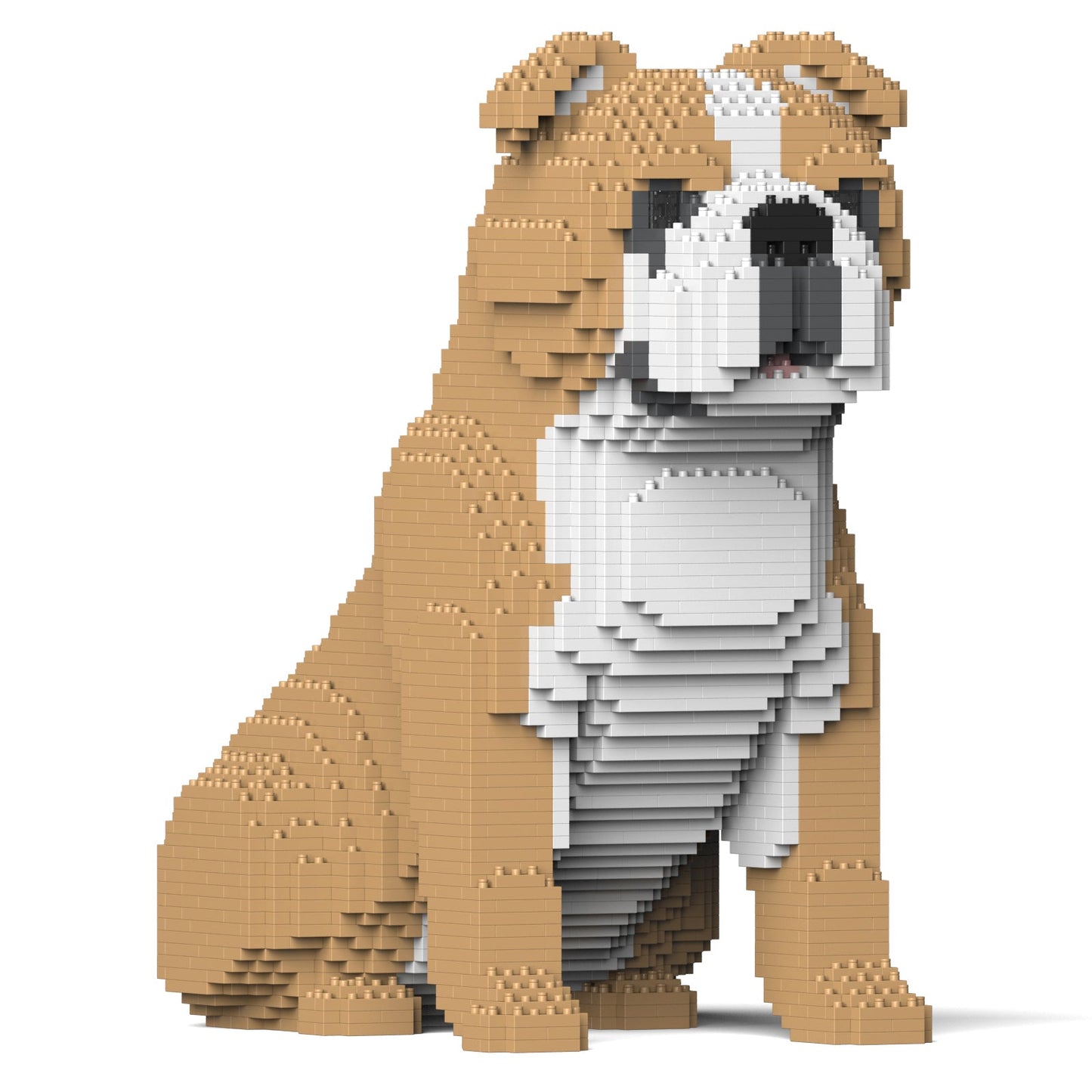 【訳あり(パッケージ不良)】イングリッシュ・ブルドッグ 4-in-1 パック 01S-M03 (Black Friday 2025)