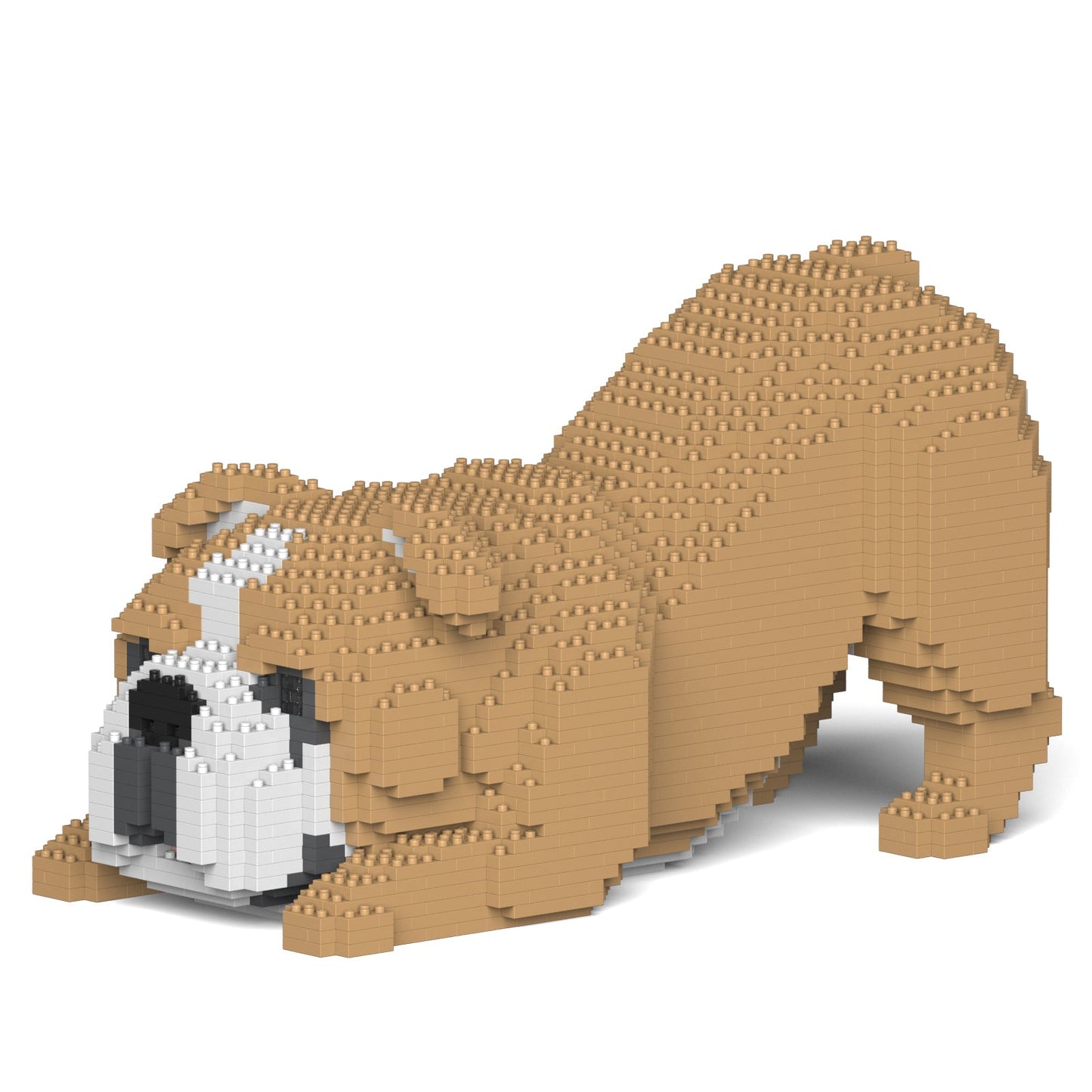 【訳あり(パッケージ不良)】イングリッシュ・ブルドッグ 4-in-1 パック 01S-M03 (Black Friday 2025)