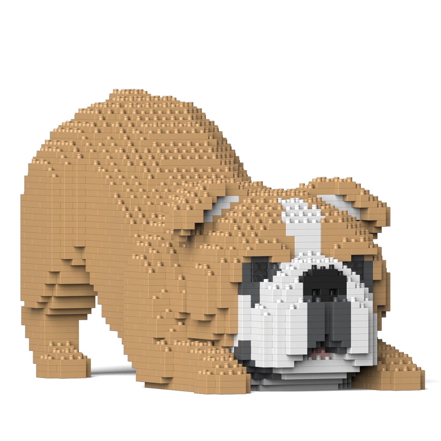 【訳あり(パッケージ不良)】イングリッシュ・ブルドッグ 4-in-1 パック 01S-M03 (Black Friday 2025)