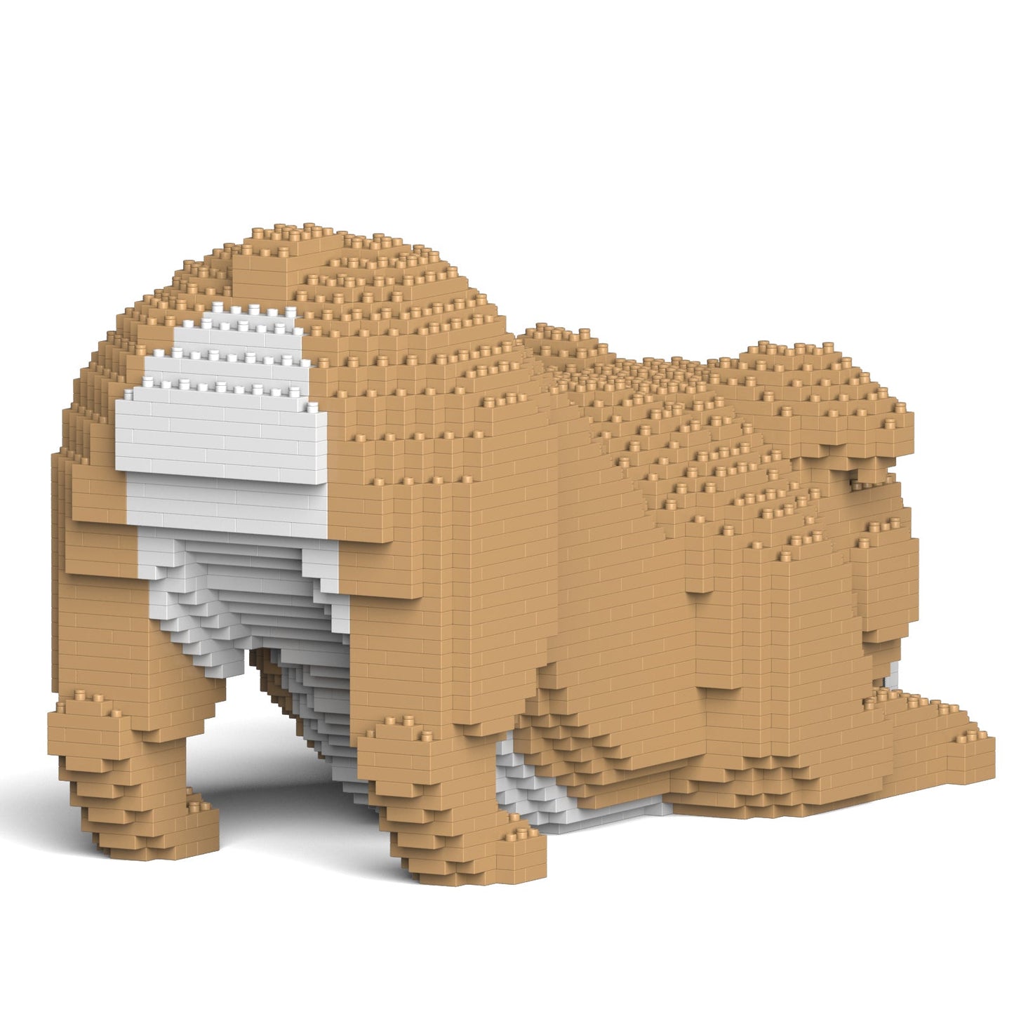 【訳あり(パッケージ不良)】イングリッシュ・ブルドッグ 4-in-1 パック 01S-M03 (Black Friday 2025)