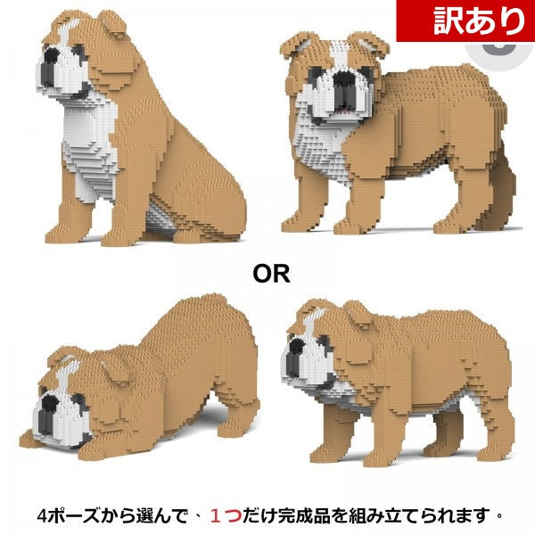 【訳あり(パッケージ不良)】イングリッシュ・ブルドッグ 4-in-1 パック 01S-M03 (Black Friday 2025)