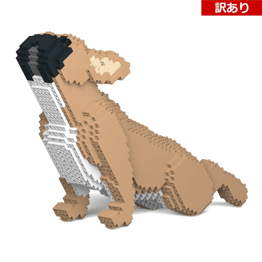 【訳あり(パッケージ不良)】フレンチ・ブルドッグ 05S-M01 (Black Friday 2025)