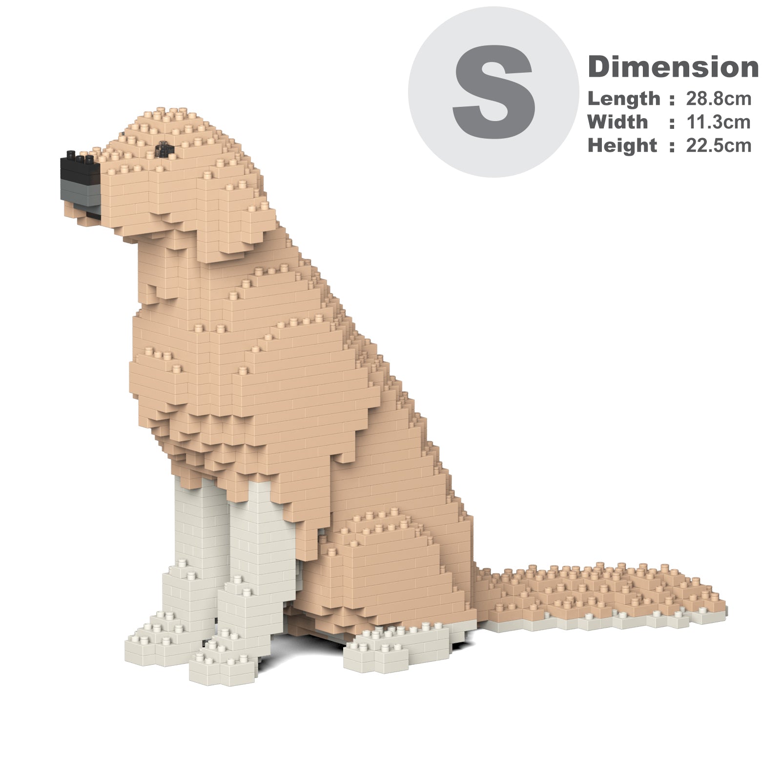 Jekca - Dachshund 04S-M02 - Lego - Scultura - Costruzione - 4D - Animali di  Mattoncini - Toys - Avvenice