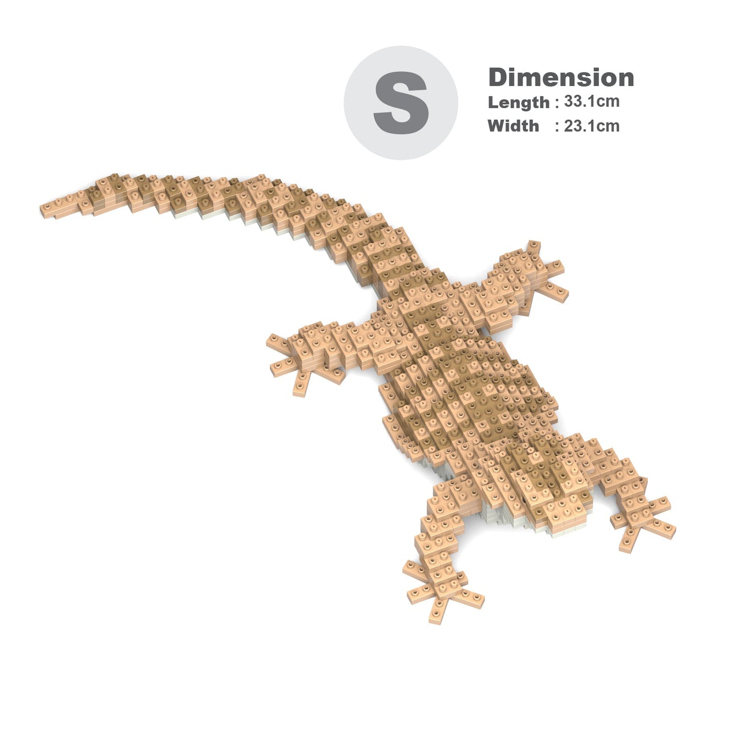 【訳あり(パッケージ不良)】フトアゴヒゲトカゲ 01S (Black Friday 2025)