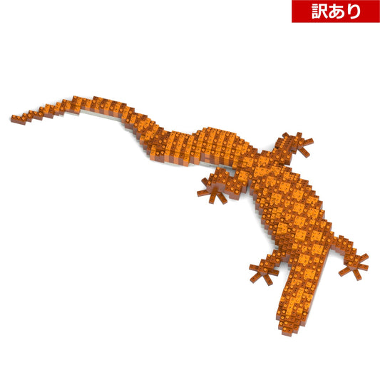 【訳あり(パッケージ不良)】トゲオオオトカゲ 01S (Black Friday 2025)