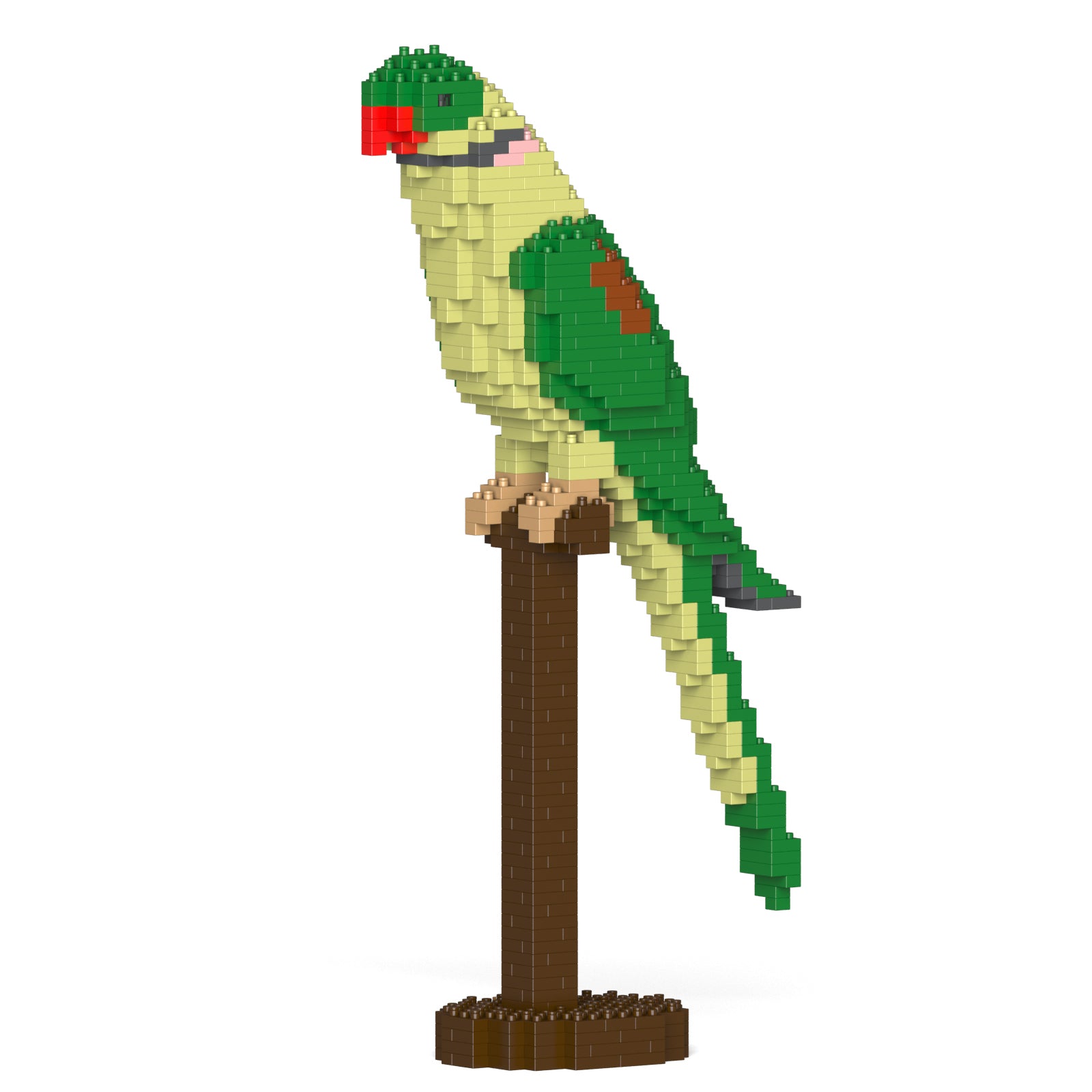 オオホンセイインコ 01S – JEKCA-SHOP