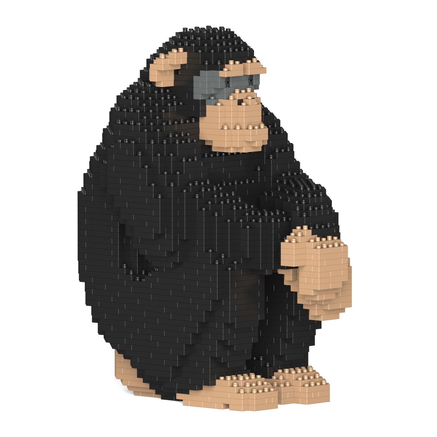 チンパンジー 01S / 01C