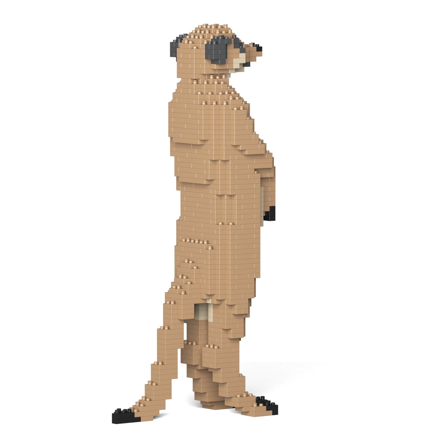 【訳あり(パッケージ不良)】ミーアキャット 01S (Black Friday 2025)