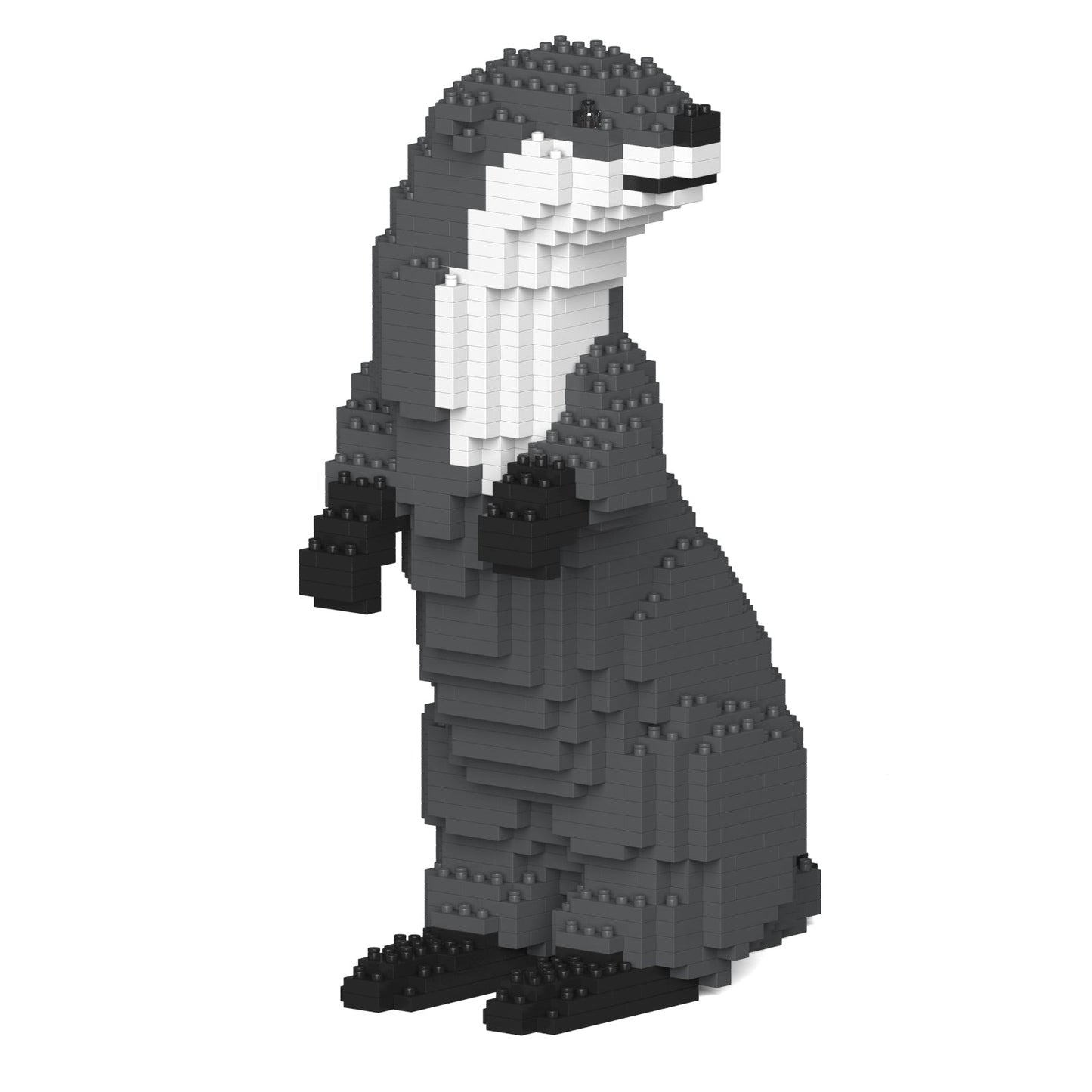 【訳あり(パッケージ不良)】コツメカワウソ 01S (Black Friday 2025)