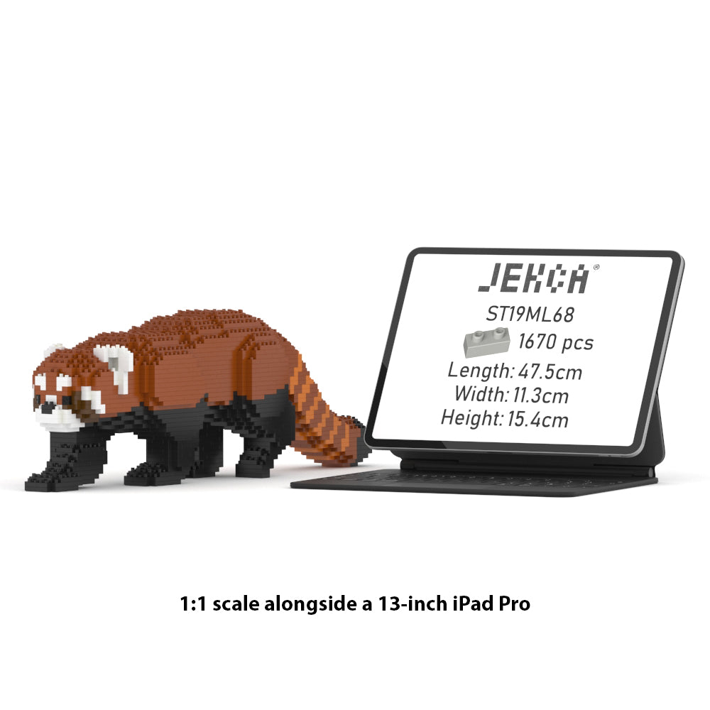 レッサーパンダ 02S