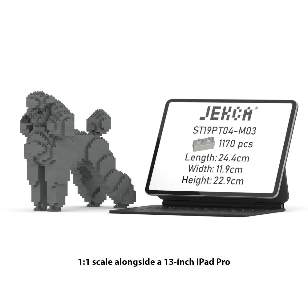 スタンダードプードル 01S-M03 / 01C-M03