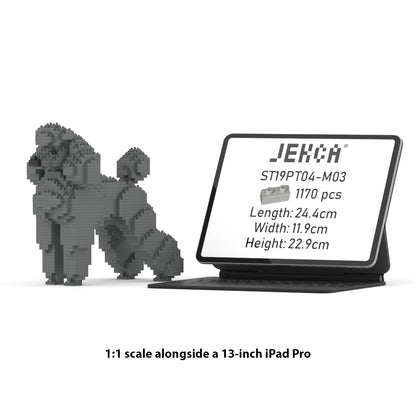 スタンダードプードル 01S-M03 / 01C-M03