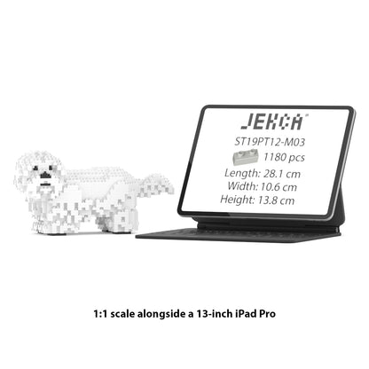 シーズー 01S-M03 / 01C-M03