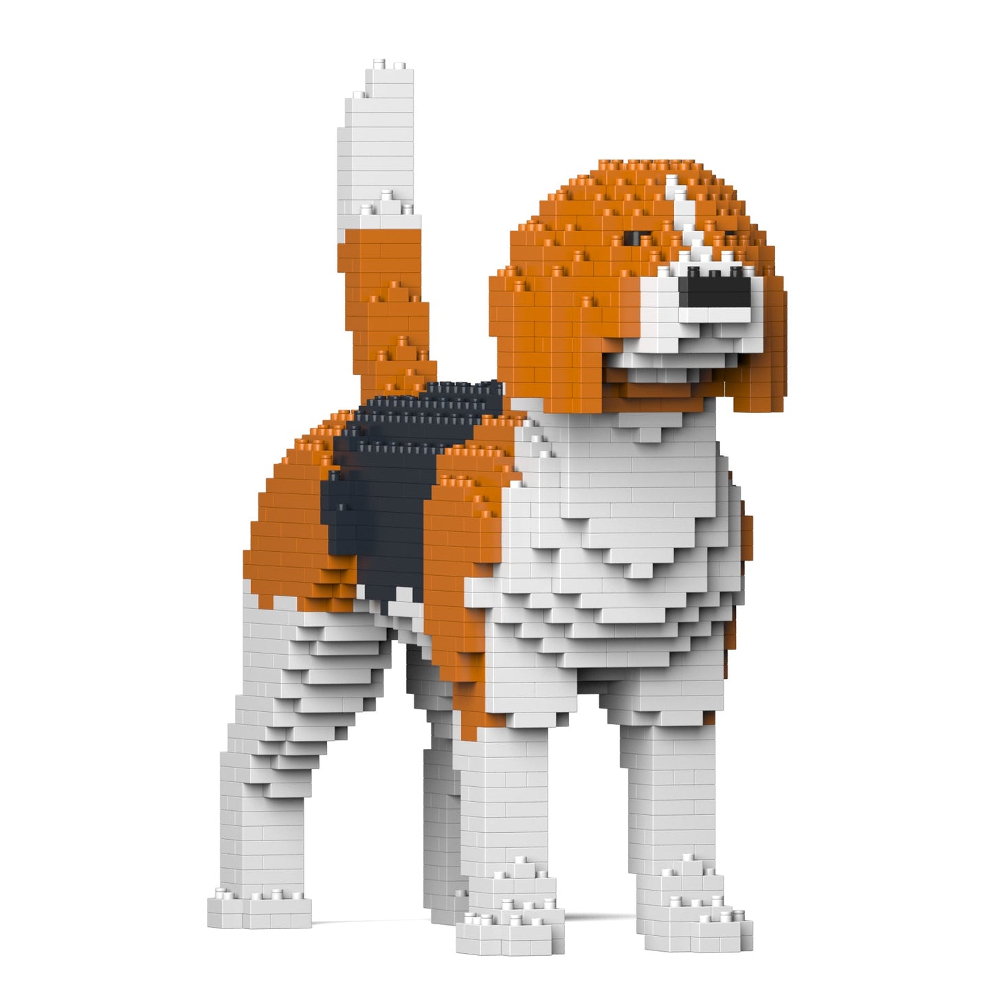 【訳あり(パッケージ不良)】ビーグル 01S (Black Friday 2025)