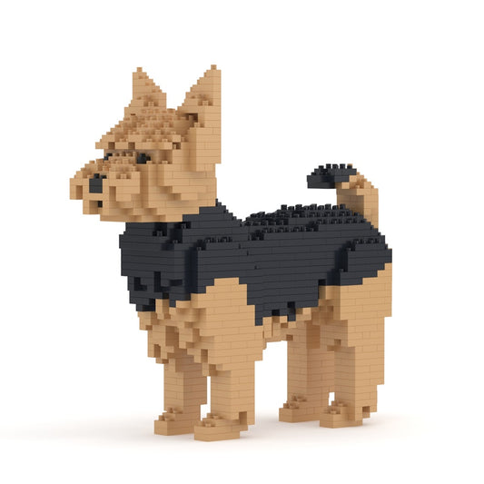 ヨークシャー・テリア 01S / 01C