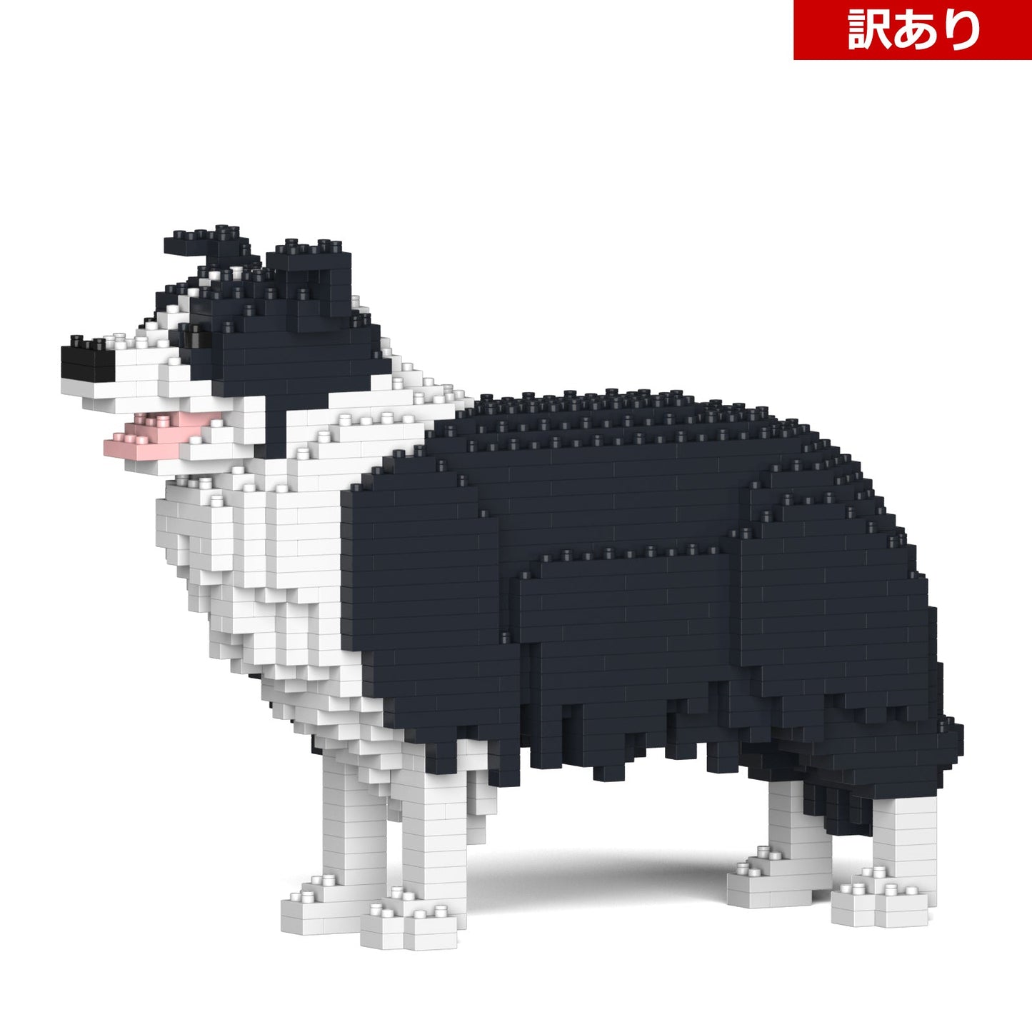 【訳あり(パッケージ不良)】ボーダー・コリー 01S-M01 (Black Friday 2025)