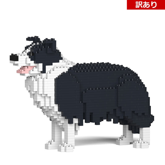 【訳あり(パッケージ不良)】ボーダー・コリー 01S-M01 (Black Friday 2025)