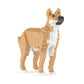 雑種犬 01S-M01 / 01C-M01