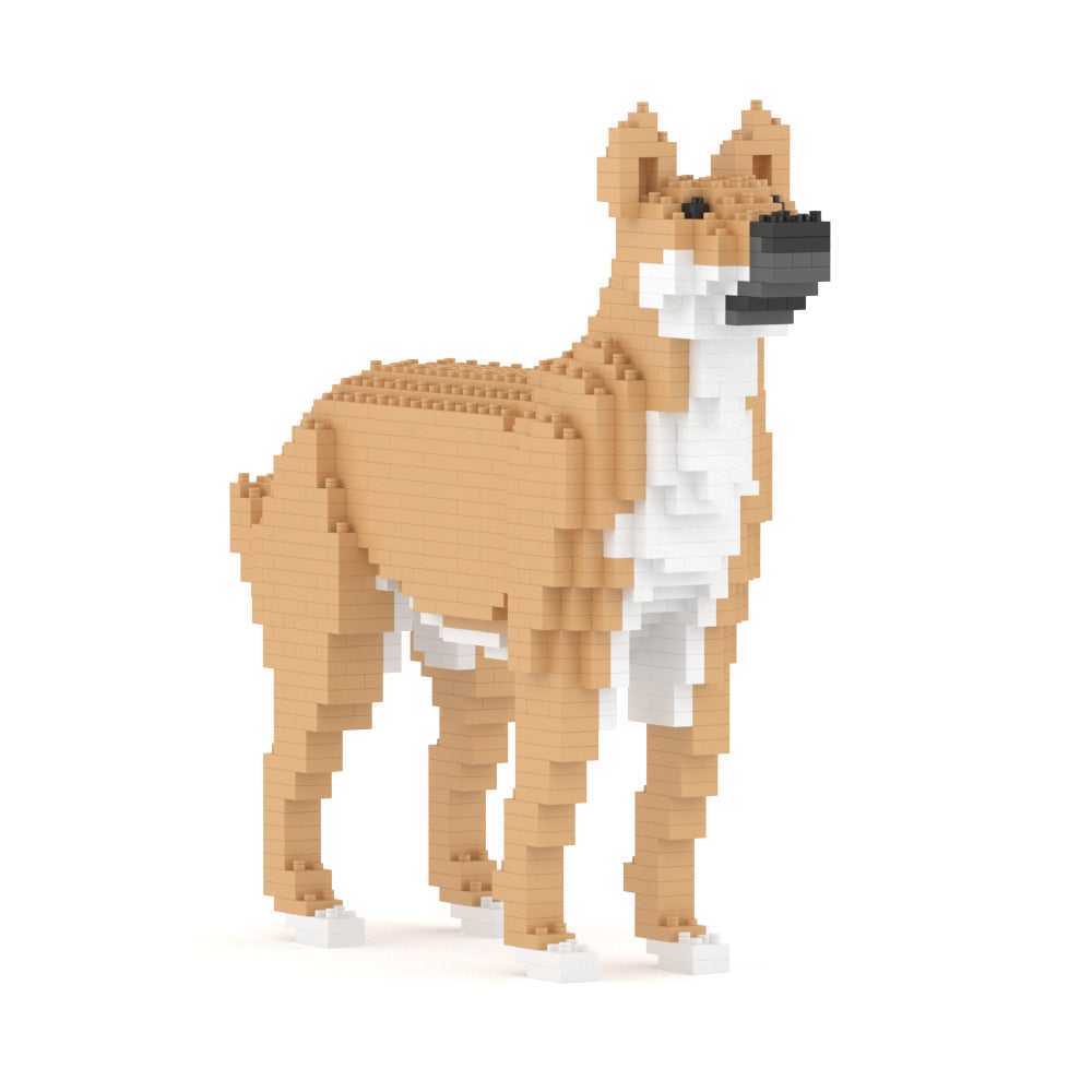 雑種犬 01S-M01 / 01C-M01