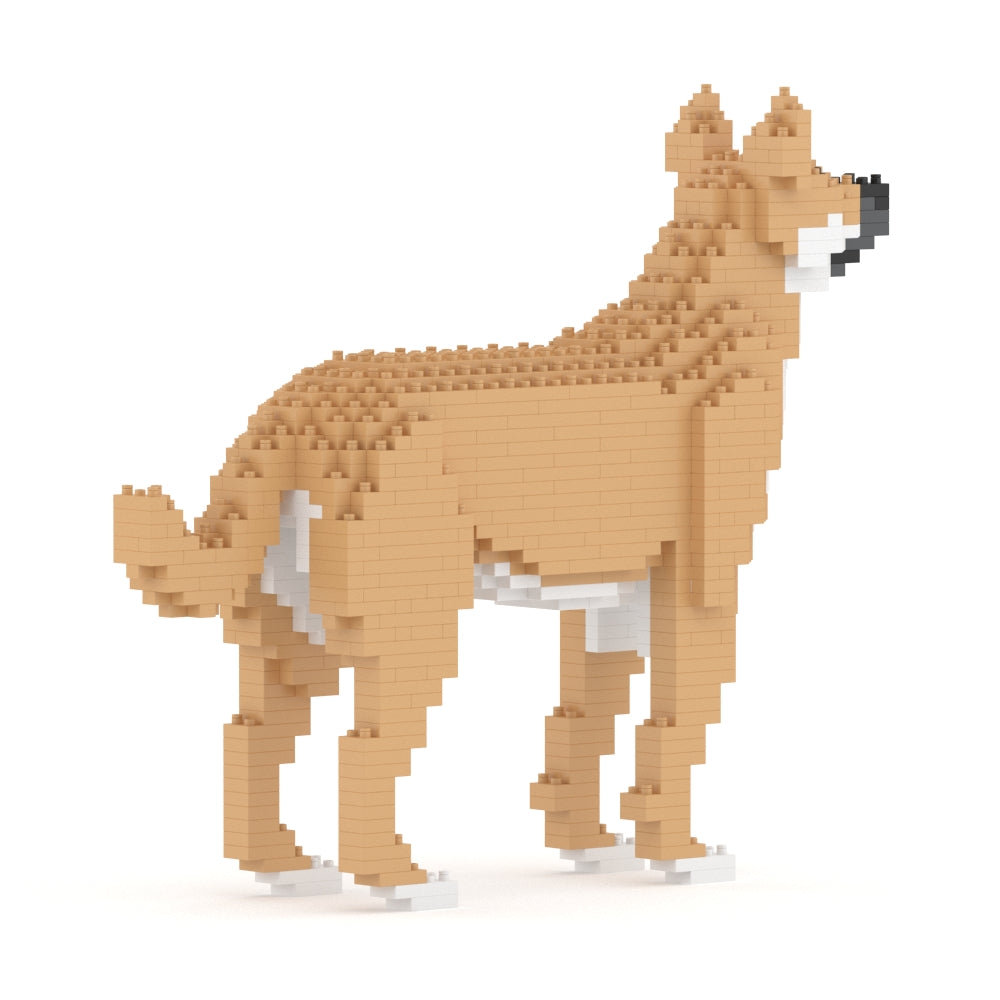 雑種犬 01S-M01 / 01C-M01