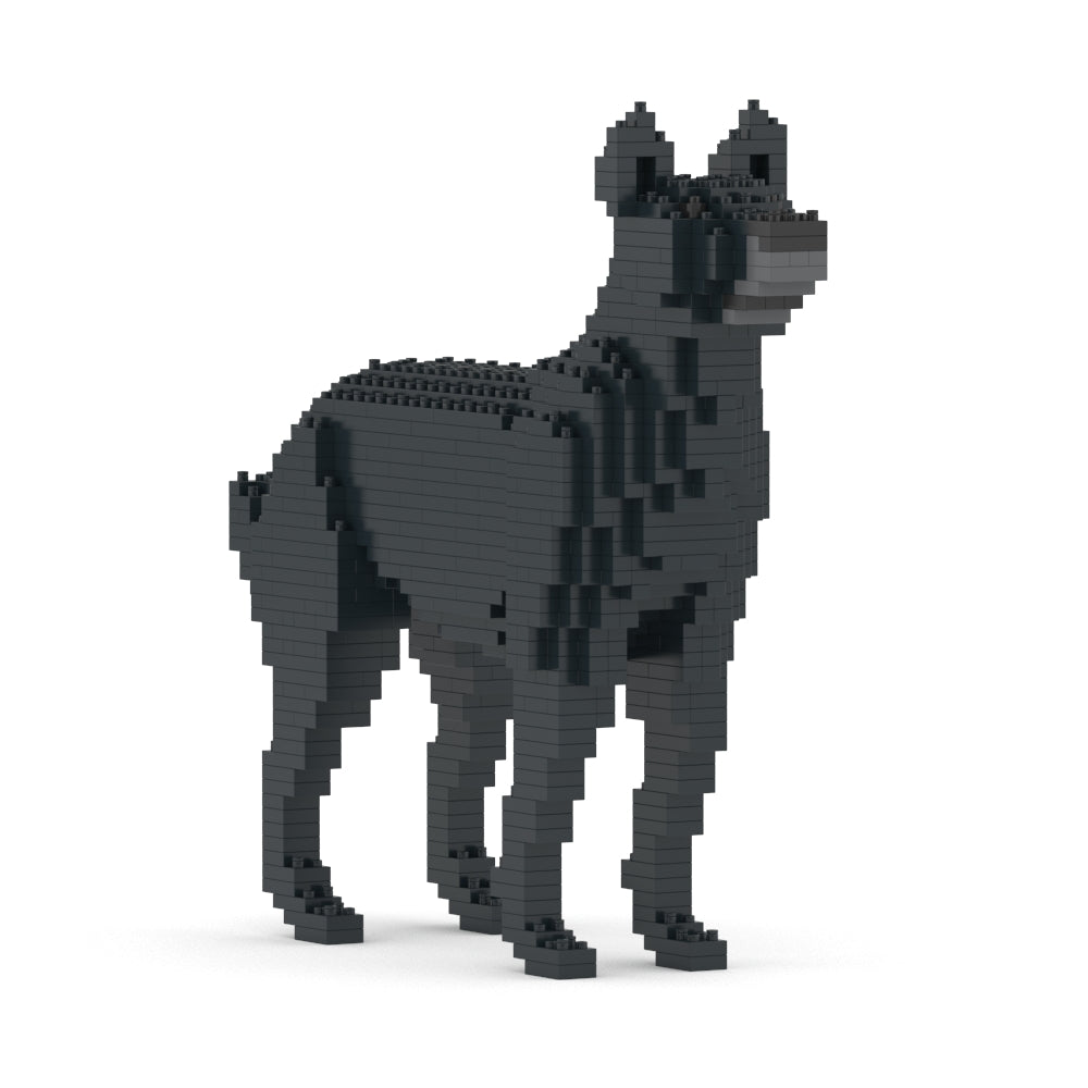 雑種犬 01S-M02 / 01C-M02