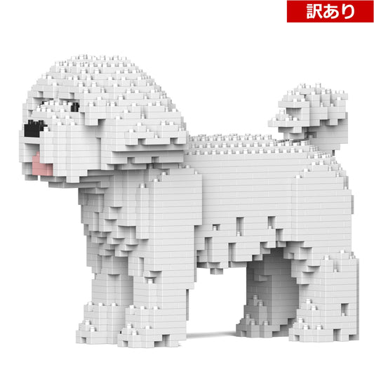 【訳あり(パッケージ不良)】マルチーズ 01S (Black Friday 2025)