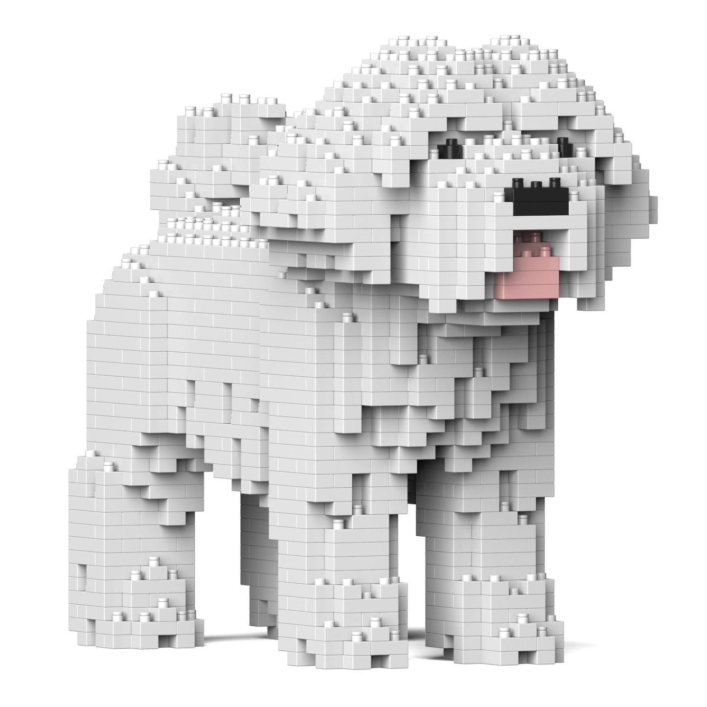 【訳あり(パッケージ不良)】マルチーズ 01S (Black Friday 2025)