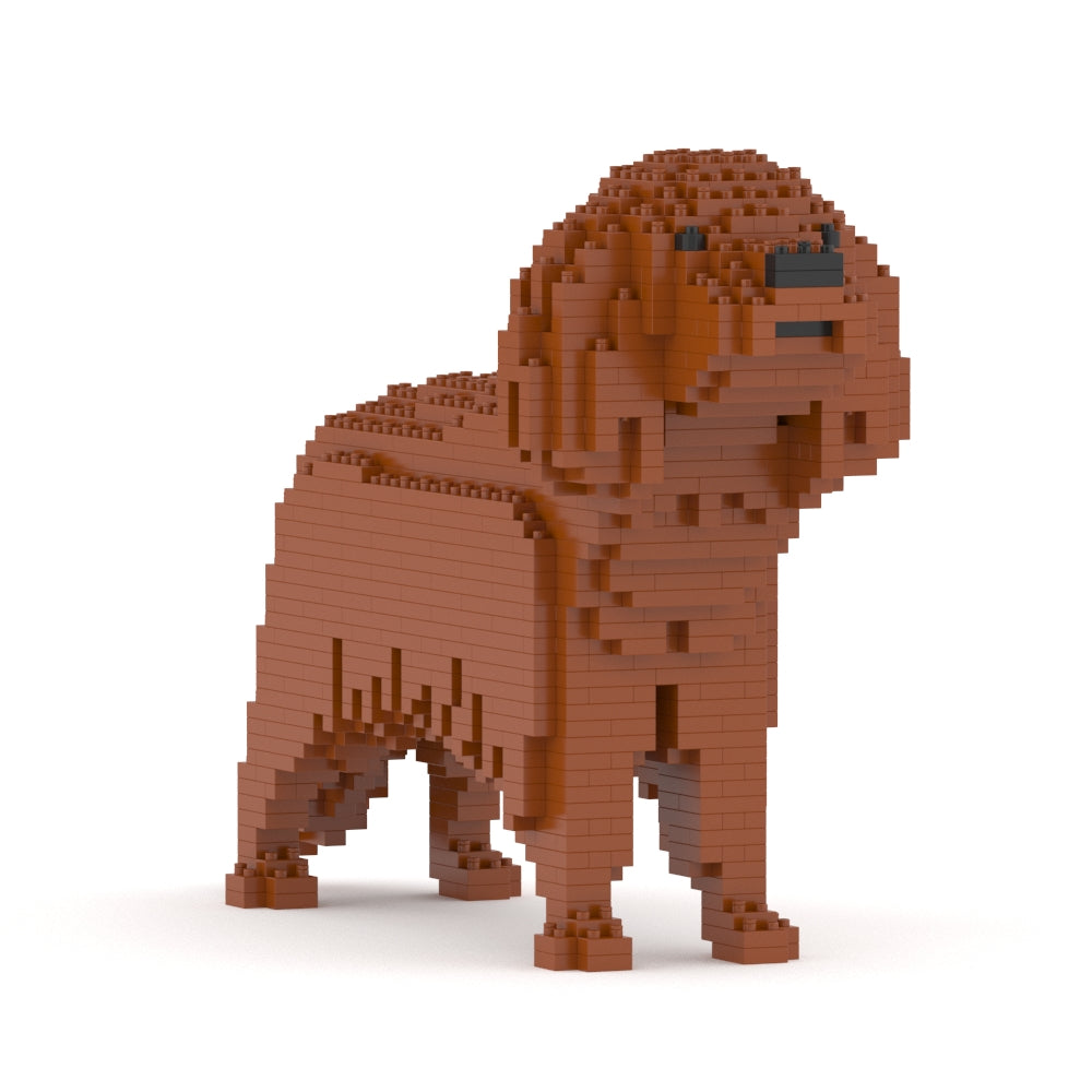 キャバリア・キング・チャールズ・スパニエル 01S-M05 / 01C-M05