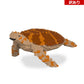 【訳あり(パッケージ不良)】ウミガメ 01S-M01 (Black Friday 2025)