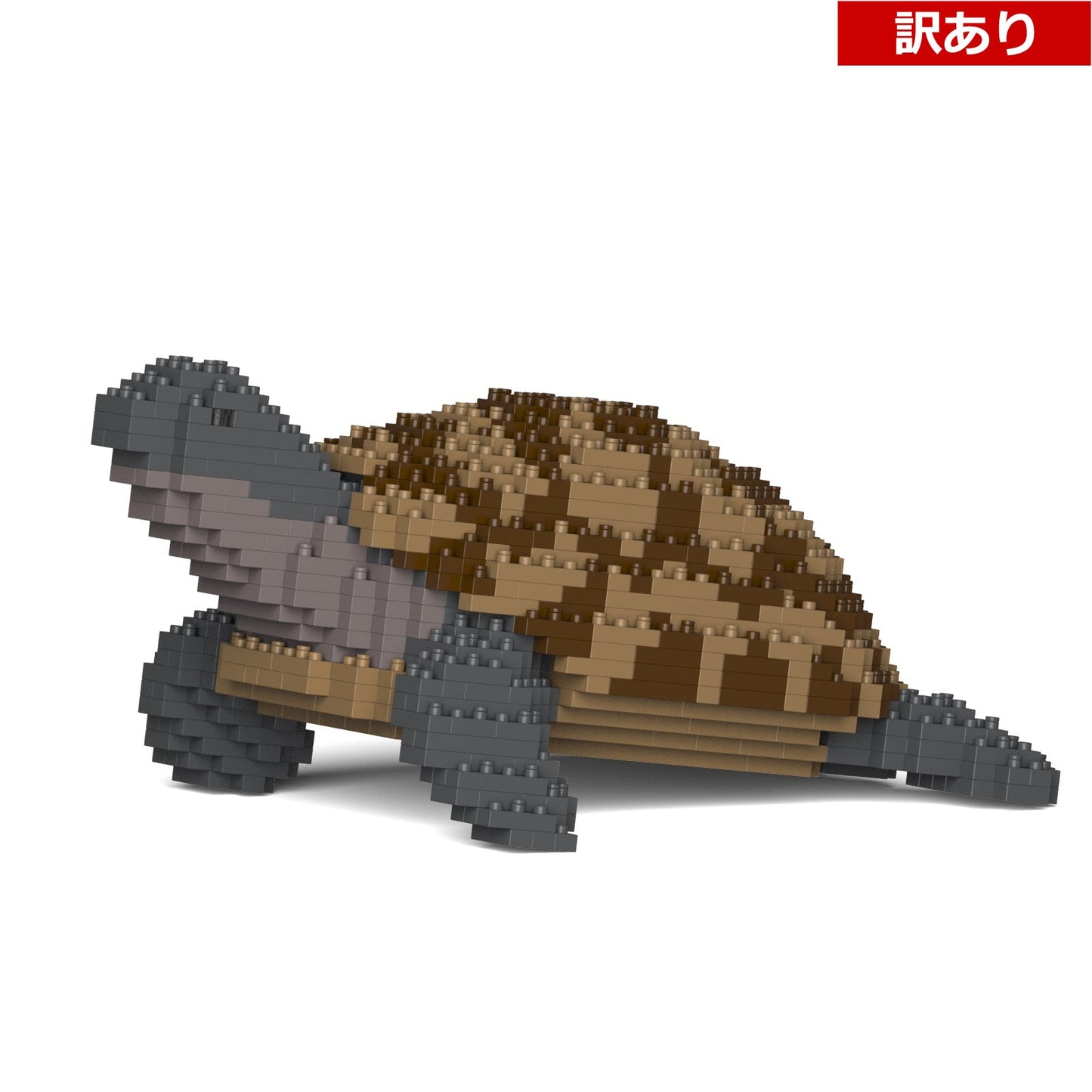 【訳あり(パッケージ不良)】ギリシャリクガメ 01S (Black Friday 2025)