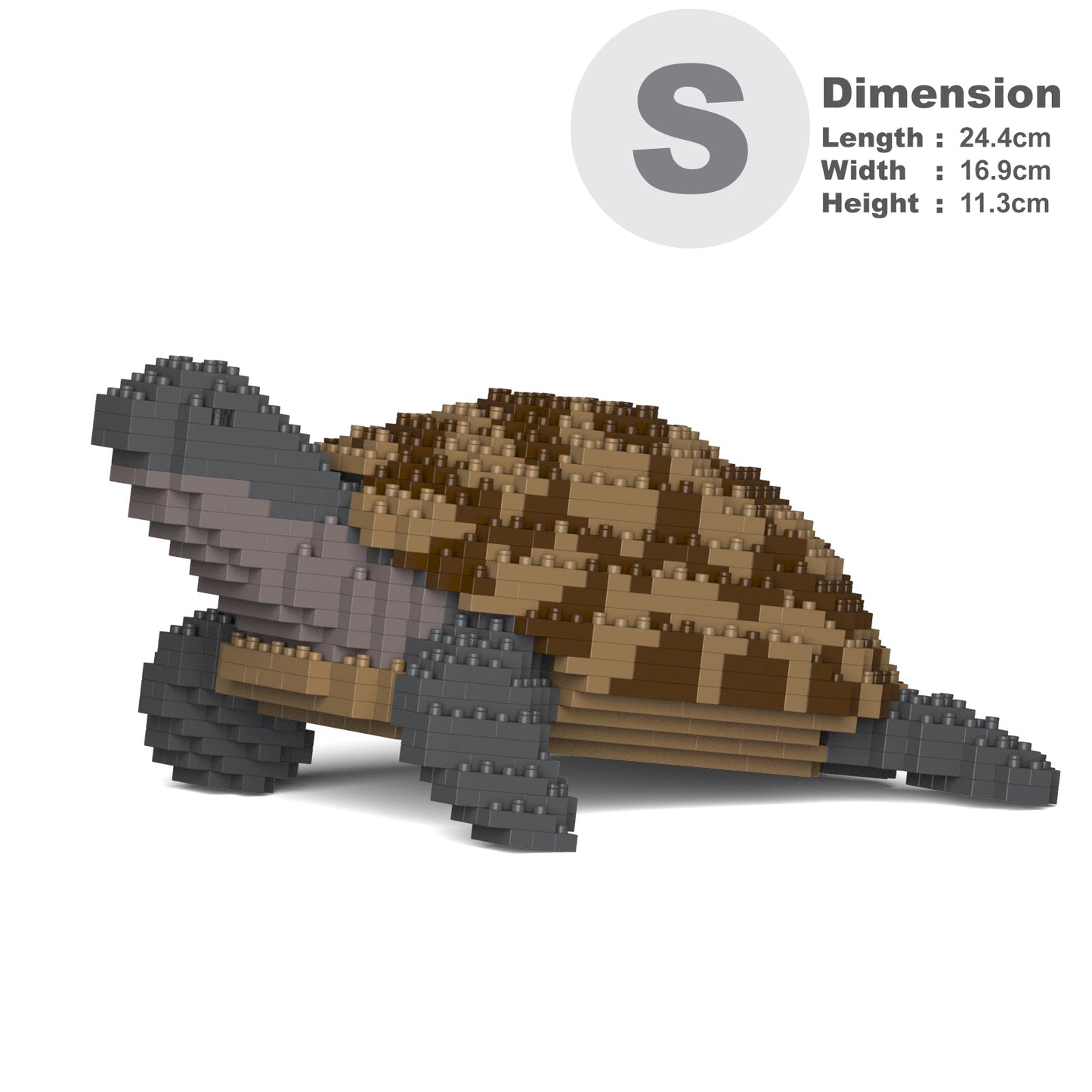 【訳あり(パッケージ不良)】ギリシャリクガメ 01S (Black Friday 2025)