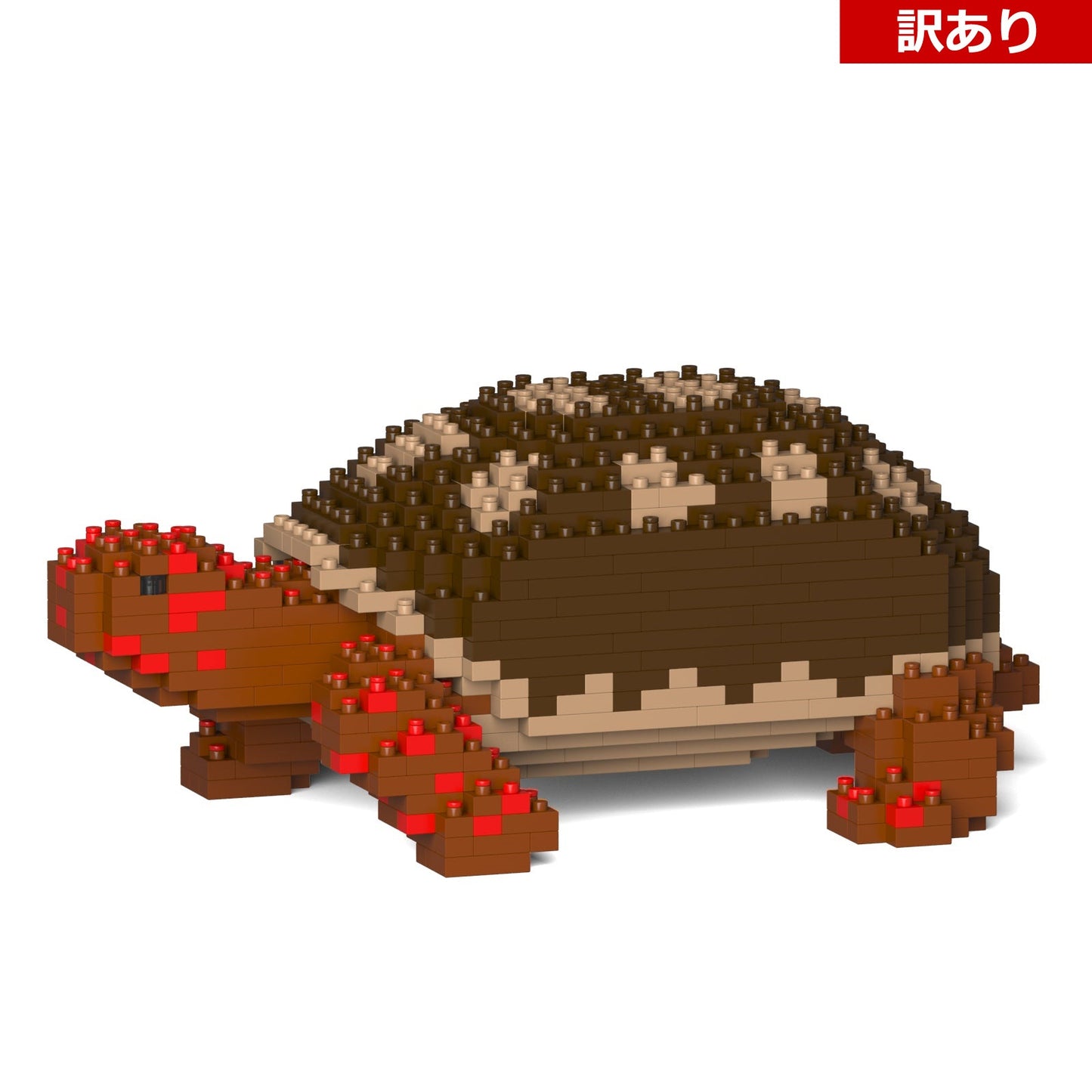 【訳あり(パッケージ不良)】アカアシガメ 01S (Black Friday 2025)